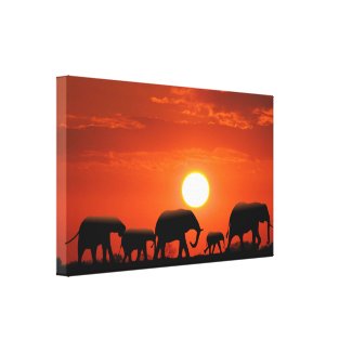 Elephant family canvas print