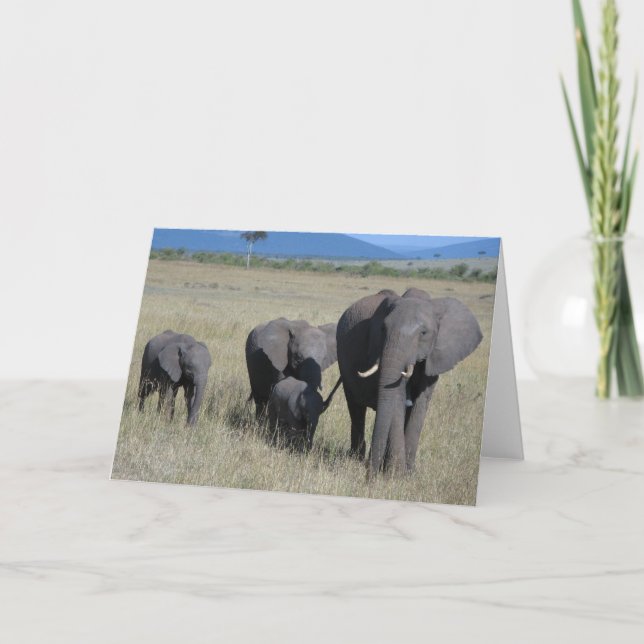 Elephant Family Card (Front)