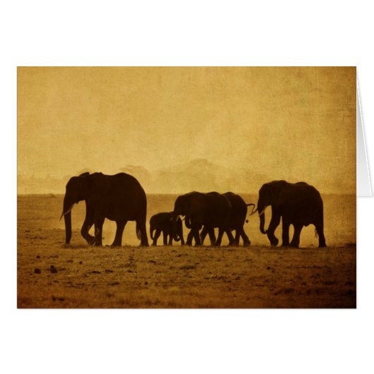 Elephant Family Cards (Front Horizontal)