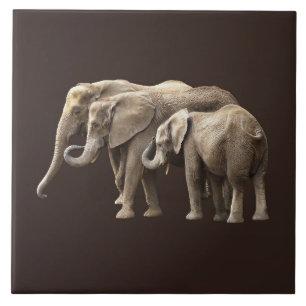 Elephant Family Ceramic Tile