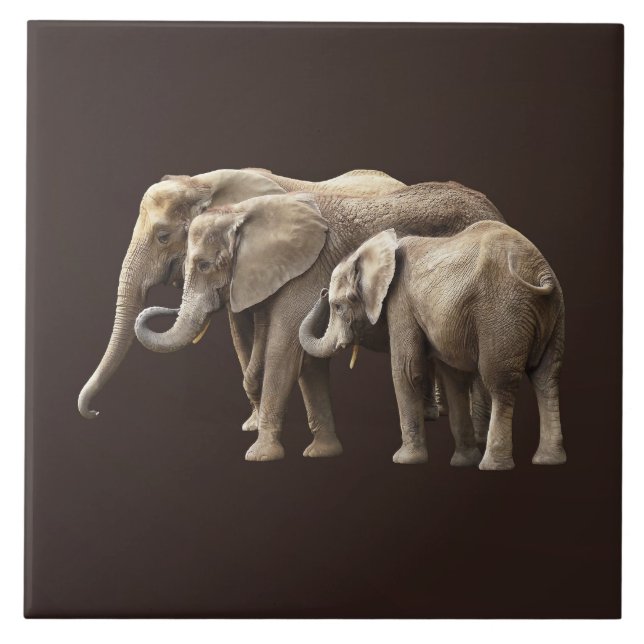 Elephant Family Ceramic Tile (Front)