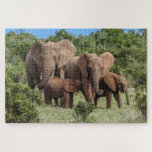 Elephant Family Jigsaw Puzzle at Zazzle