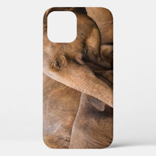 Elephant Family: Majestic Wildlife iPhone 12 Case
