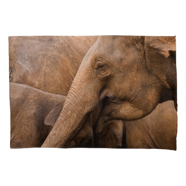 Elephant Family: Majestic Wildlife Pillow Case (Front)