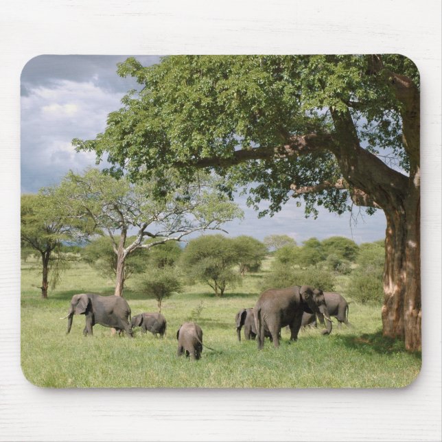 Elephant family mouse pad (Front)