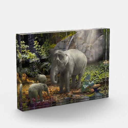 Elephant Family RAIN FOREST PARTY Photo Block