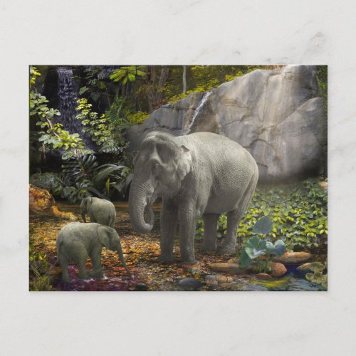 Elephant Family RAIN FOREST PARTY Postcard