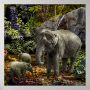 Elephant Family RAIN FOREST PARTY Poster