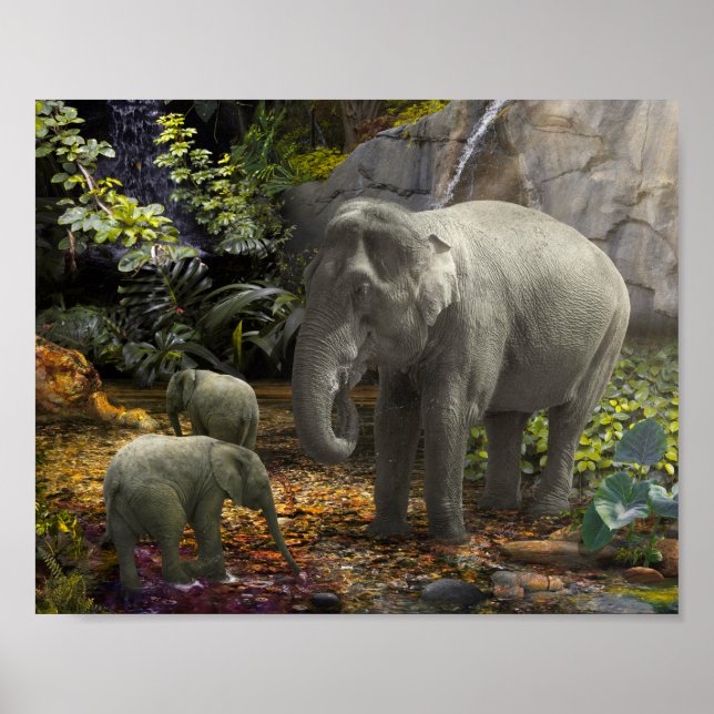 Elephant Family RAIN FOREST PARTY Poster (Front)