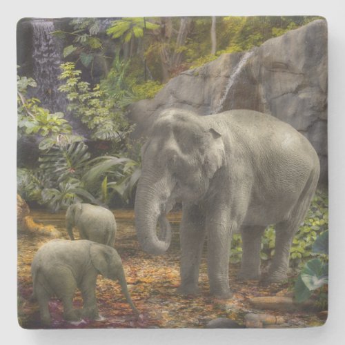 Elephant Family RAIN FOREST PARTY Stone Coaster