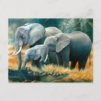 Elephant Family Safari Postcard by KTVFashion at Zazzle