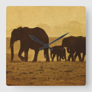 Elephant Family Square Wall Clock