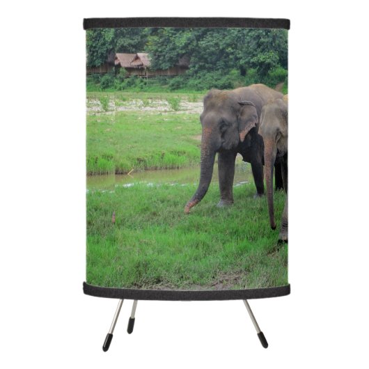 Elephant family table lamp (Left)