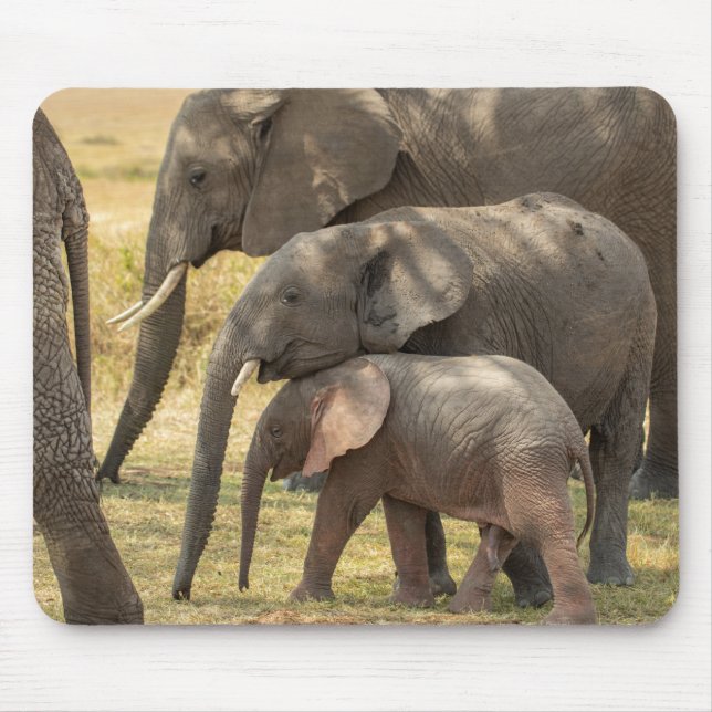 Elephant family /W Baby Showing Affection Mouse Pad (Front)