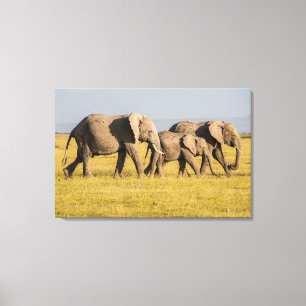 Elephant Family Walking Canvas Print