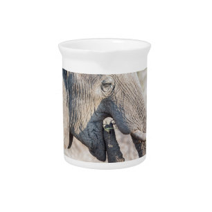 Elephant feeding beverage pitcher