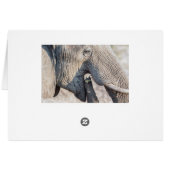 Elephant feeding cards (Back Horizontal)