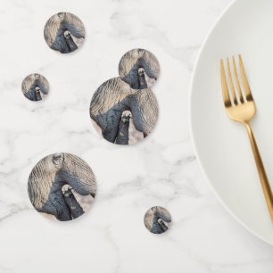 Elephant feeding confetti