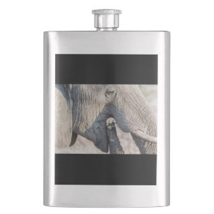 Elephant feeding flask