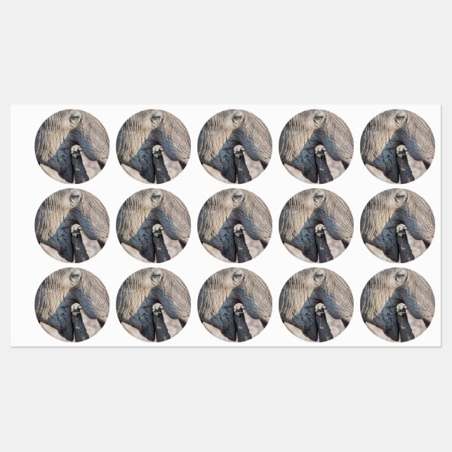 Elephant feeding labels (Sheet)