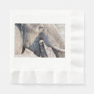 Elephant feeding napkins