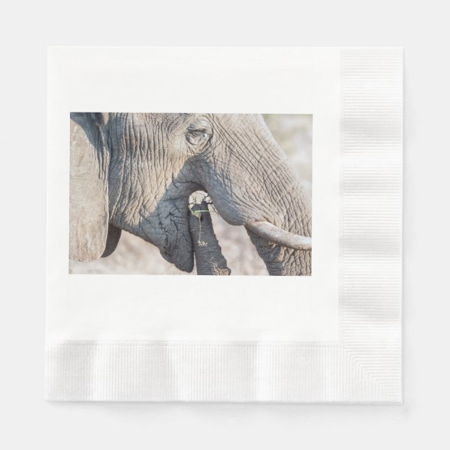 Elephant feeding napkins (Front)