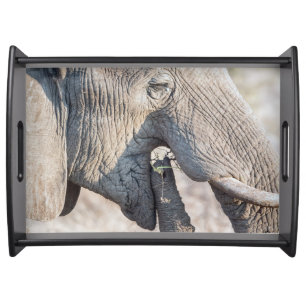 Elephant feeding serving tray