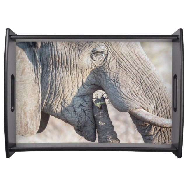 Elephant feeding serving tray (Front)