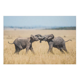 Elephant Fighting In Serengeti Africa Savanna Faux Canvas Print