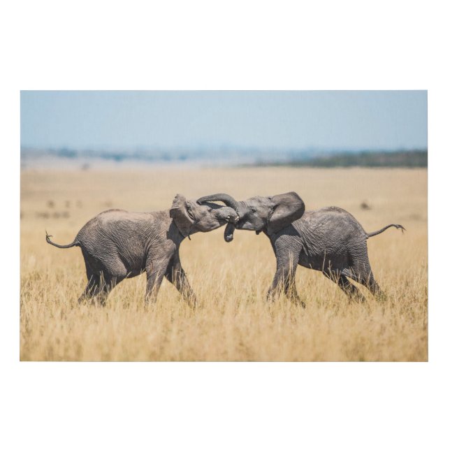 Elephant Fighting In Serengeti Africa Savanna Faux Canvas Print (Front)