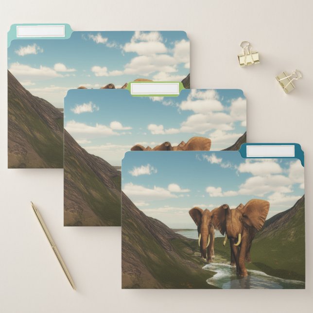 Elephant File Folder (Set)