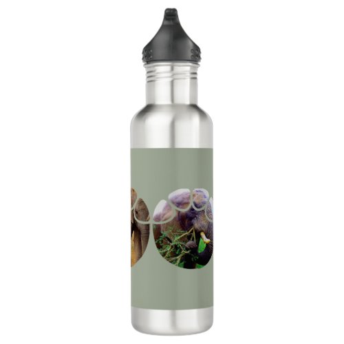 Elephant Footprint Collage Water bottle