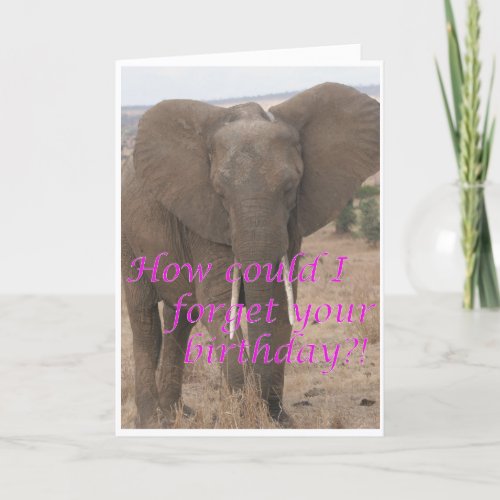 Elephant forgets birthday holiday card