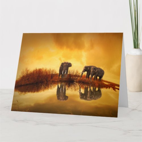 Elephant golden sunset reflection greeting card