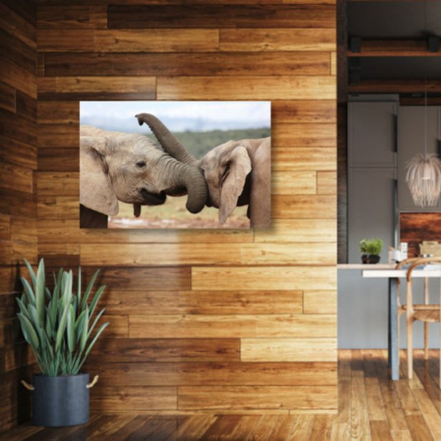 Elephant greeting Canvas Framed Print (Creator Uploaded)