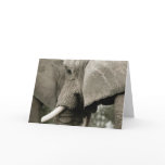 Elephant  Greeting Card