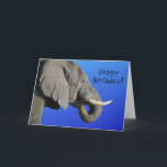 Elephant Happy Birthday Funny Age Blue and Gray Card<br><div class="desc">Elephant photo on blue background with "Happy Birthday" on the front. Inside it says "Age is irr-elephant!" in a fun font. All text can be customized by clicking on personalize this above. This elephant photo was taken on safari while in Botswana with my family. He was just hanging around enjoying...</div>