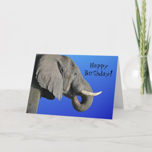 Elephant Happy Birthday Funny Age Blue and Gray Card