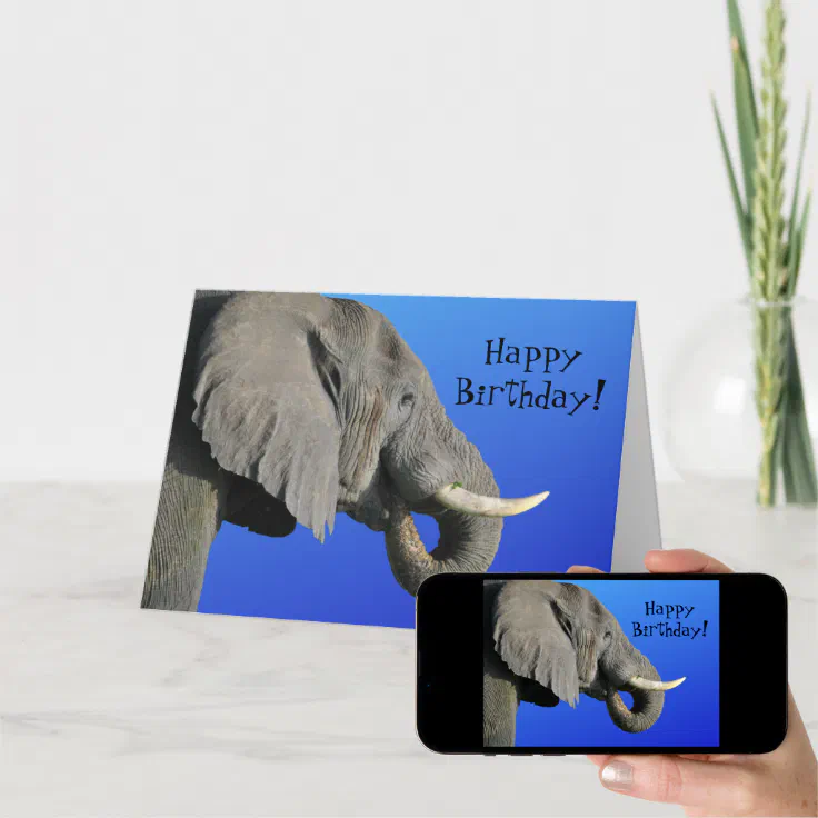 Elephant Happy Birthday Funny Age Blue and Grey Card | Zazzle