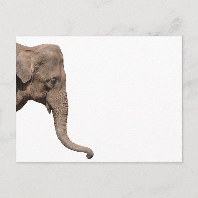 Elephant head postcard (Front)