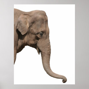Elephant head poster