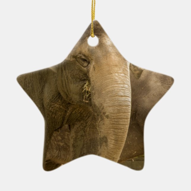 Elephant/Heffalump Ceramic Ornament (Front)