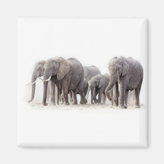 Elephant Herd Magnet