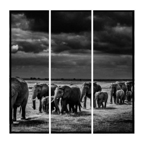 Elephant Herd Triptych Wall Art