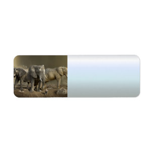Elephant Hunter on Safari Label