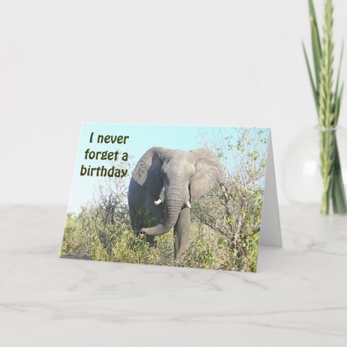 ELEPHANTI Never Forget A BirthdayBELATED BIRTH Card