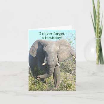 Elephant/i Never Forget A Birthday/except Yours Card by whatawonderfulworld at Zazzle