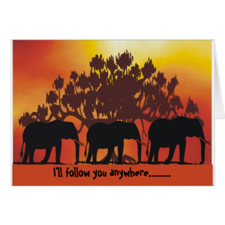 elephant- I'll follow you anywher... Cards