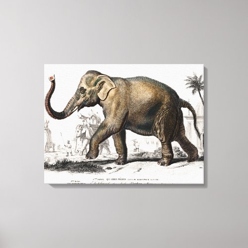 Elephant Illustration Vintage Art Print