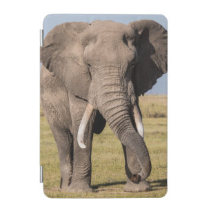 Elephant in an Aggressive Pose iPad Mini Cover